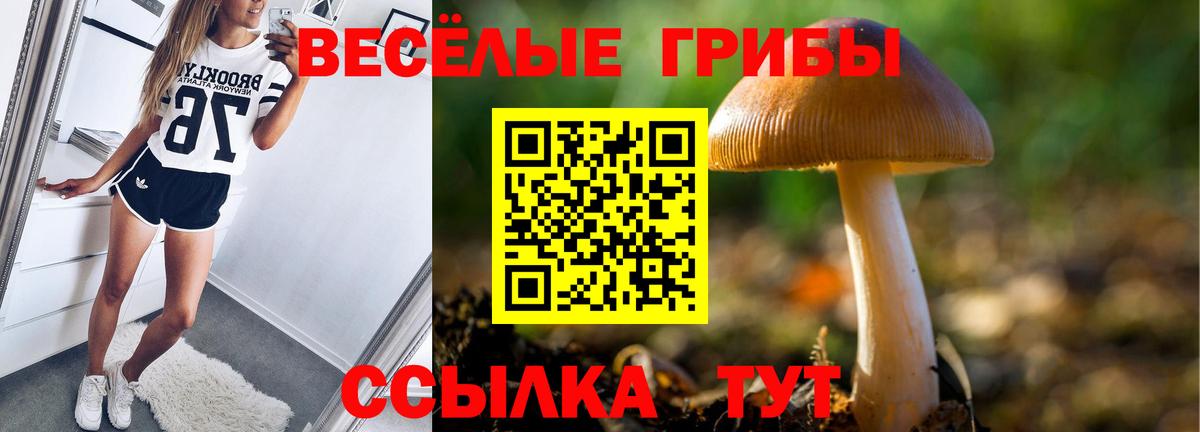 Галлюциногенные грибы ЛСД Биробиджан